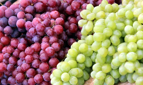 Nho tươi Australia đang vào mùa, sẵn có ở Việt Nam 